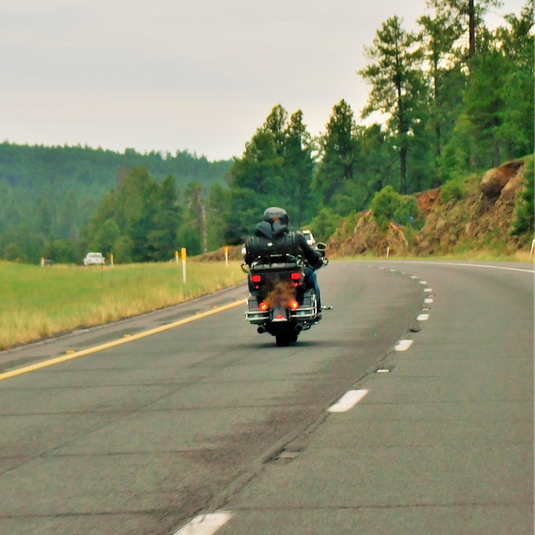 SCHAMPA Fleece Skull Gaiter Deluxe